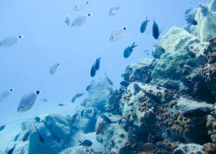 Yacht Club * Bozburun