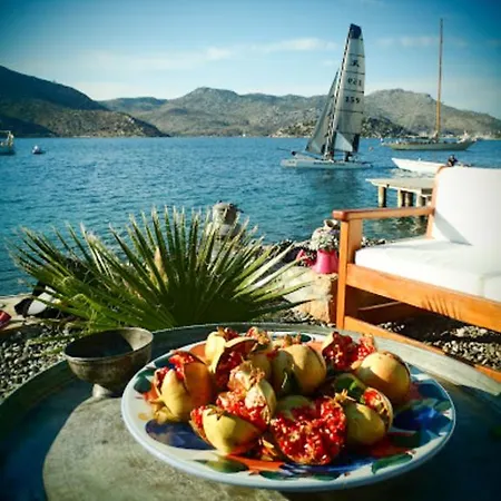 Affittacamere Yacht Club *