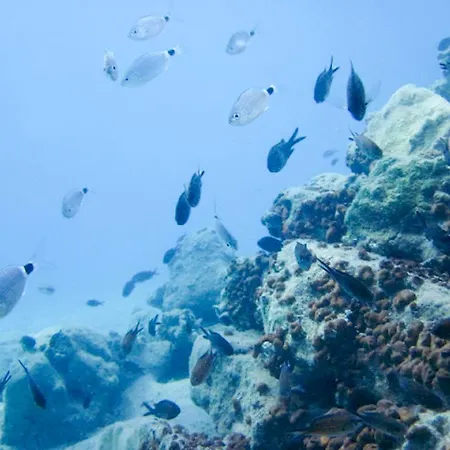 Yacht Club * Bozburun